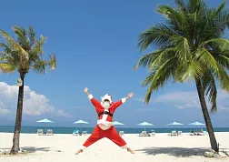 Отмечаем Новый год 2020 в штате Гоа