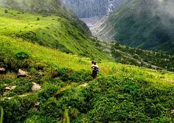 Долина цветов