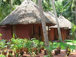 Panchakarma Hut