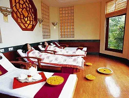 Аюрведа и SPA в отеле «Ананда» Аюрведа и SPA в отеле «Ананда»