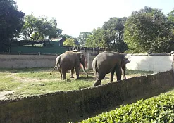 Зоологический сад 