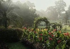 Королевский ботанический сад Перадения