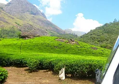 Национальный Парк Эравикулам