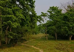 Национальный Парк Читван