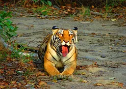 Национальный Парк Перияр