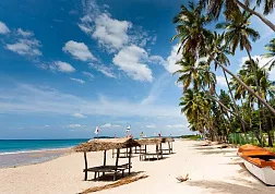 Шри-Ланка: советы путешественникам