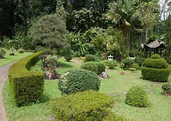 Королевский ботанический сад Перадения