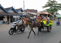 Местный транспорт и связь
