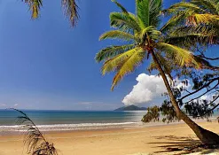 Курорт Coco Palm Resort