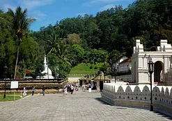 Храм зуба Будды