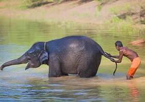 Незабываемое сафари на курорте «Маналтирам»