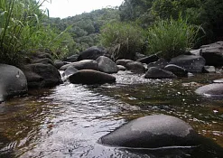 Национальный Парк «Тихая Долина»