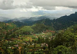 Гора Пидуруталагала