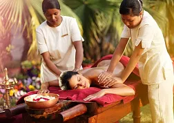 Аюрведа – способ обрести гармонию