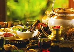 Основы восточной медицины Аюрведы