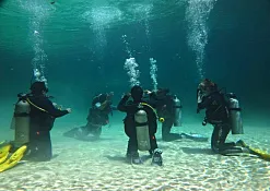 Школа дайвинга Prodivers