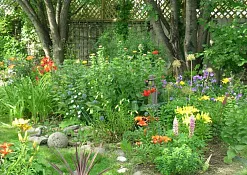 Висячие Сады Мумбаи