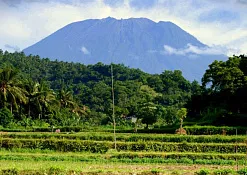 Rimba Jimbaran Bali by Ayana