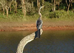 Национальный Парк Перияр