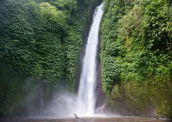 Rimba Jimbaran Bali by Ayana