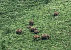Национальный Парк «Тихая Долина»