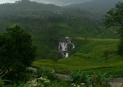 Сад Гордона