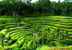 Индия – такого больше нигде не увидишь