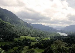 Гора Пидуруталагала