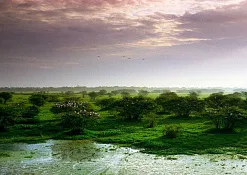 Национальный Парк Кеоладео