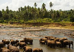 Национальный парк Уда-Валаве