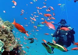 На острове Бали пройдет дайвинг-фестиваль залива Пемутеран