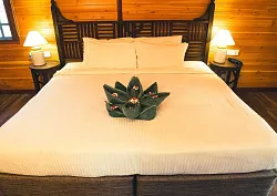 Wooden premium villas