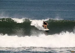 Rimba Jimbaran Bali by Ayana