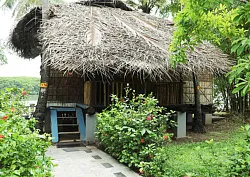 Coconut Hut
