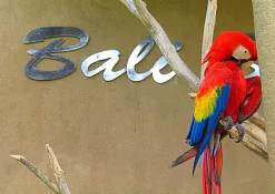 Rimba Jimbaran Bali by Ayana