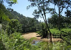 Лесной заповедник Синхараджа