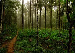 Национальный Парк «Тихая Долина»