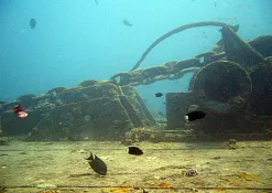 Школа дайвинга Prodivers