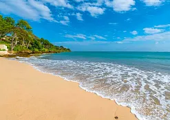 Rimba Jimbaran Bali by Ayana