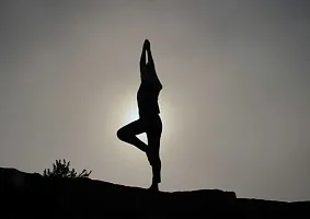 Курсы йоги с международной сертификацией Курсы йоги с международной сертификацией